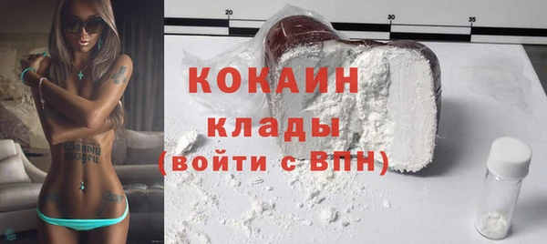 стаф Дмитровск