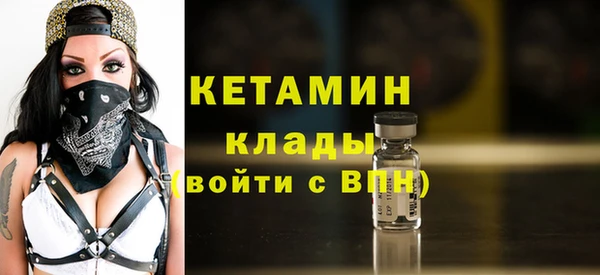стаф Дмитровск