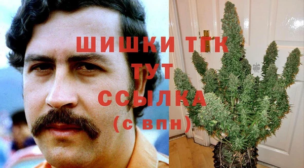 стаф Дмитровск