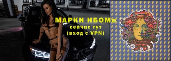 стаф Дмитровск