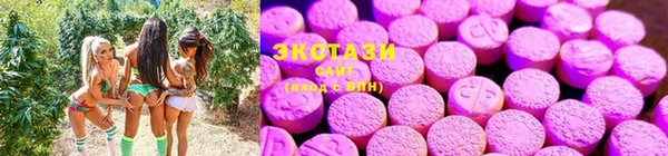 стаф Дмитровск