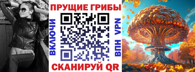 Галлюциногенные грибы Magic Shrooms  где можно купить   Узловая 