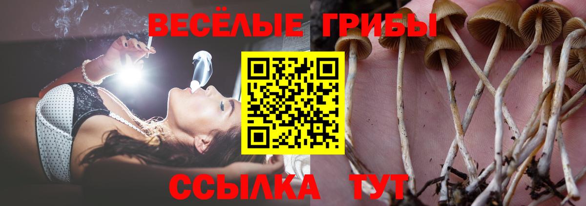 Псилоцибиновые грибы Psilocybe  Вход с VPN  Галлюциногенные грибы Cubensis  цены   Узловая 